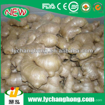 wholesale ginger price/vegetable price list/market prices for ginger/price of fresh ginger